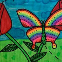 Tetra-Butterfly-Contest